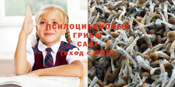 не бодяженный Ахтубинск