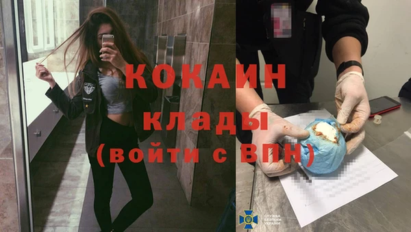 МДПВ Аша
