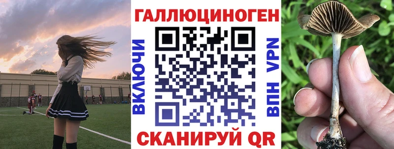Галлюциногенные грибы мицелий  Приволжский 