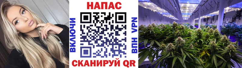 Бошки Шишки SATIVA & INDICA  MEGA ССЫЛКА  Приволжский 